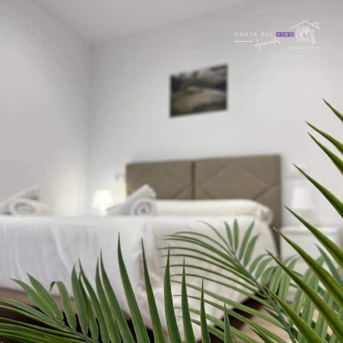 Apartamento El Mozo لاباستيدا المظهر الخارجي الصورة